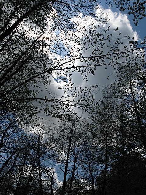 ХРОНИКА ПАПАЙСКОГО ПРОРЫВА. (Вело, велопоход, краснодарский край)