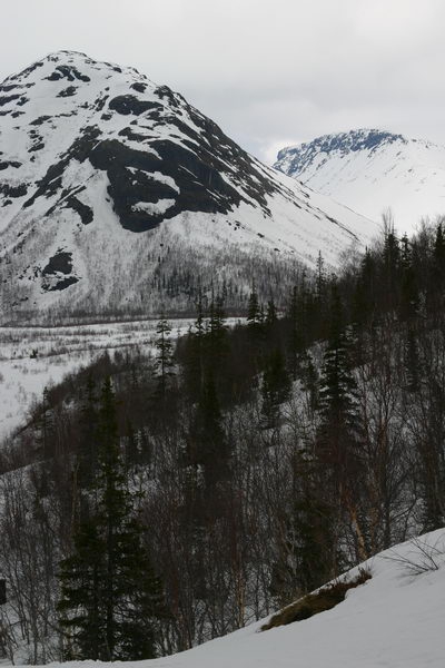 До старта грандиозной гонки RED FOX Adventure Race V осталось три дня!!! (Снегоступинг, приключенческие гонки, adventure races, ред фокс, red fox v)