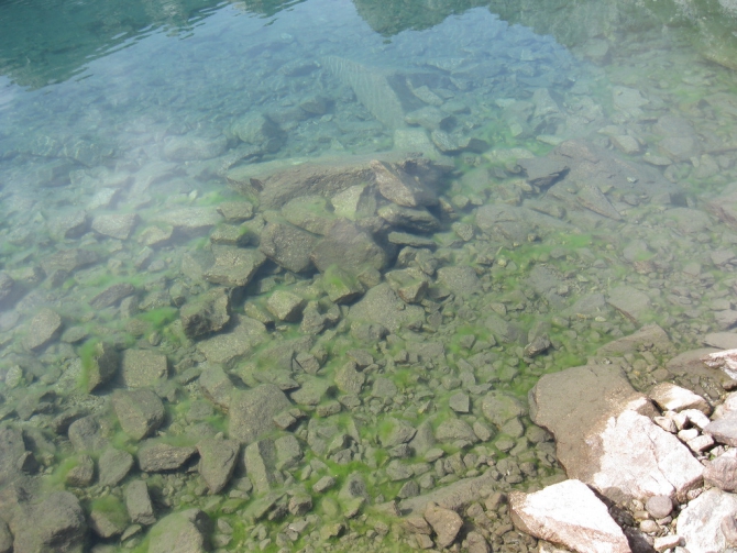 Муруджинские озера: взгляд изнутри. Часть 1. (Путешествия, теберда, горные озёра, черное муруджинское)