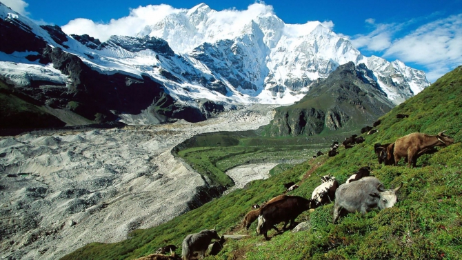 Трек к Кангчунгской (Восточной) стене Эвереста. Планы маевки. (Путешествия, долина кама, трккинг, кангчунгская стена, тибет, непал)