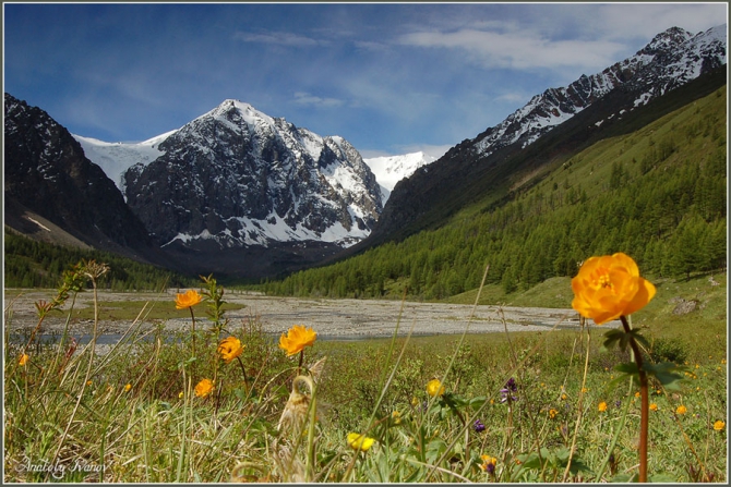 Приглашаем в Актру! (Горный Алтай, Альпинизм, учебно тренировочные сборы, фаис томской области)