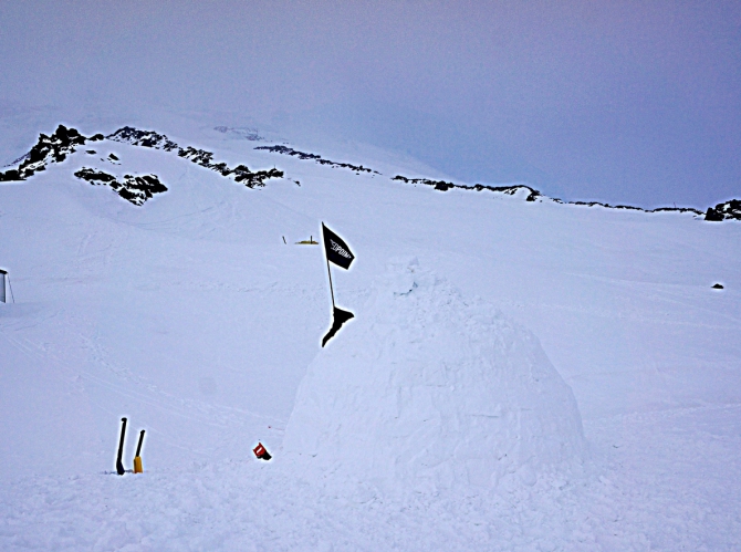 Эльбрус...Цветы на вершине. (Альпинизм, маша хитрикова, хитриков, ред поинт, red point)