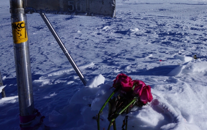 Эльбрус...Цветы на вершине. (Альпинизм, маша хитрикова, хитриков, ред поинт, red point)