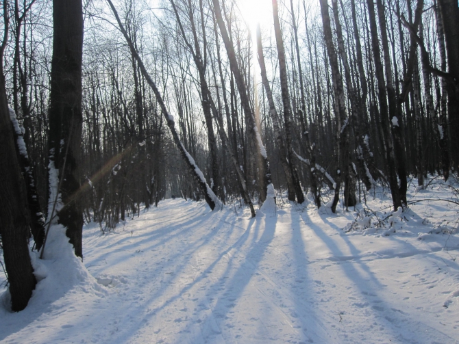 Ступня России - 2013. Итоги. (Снегоступинг, снегоступинг, снегоступы, tsl)