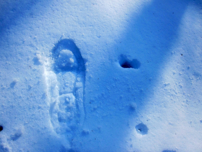 Ступня России - 2013. Итоги. (Снегоступинг, снегоступинг, снегоступы, tsl)