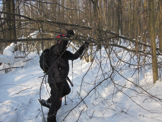 Ступня России - 2013. Итоги. (Снегоступинг, снегоступинг, снегоступы, tsl)