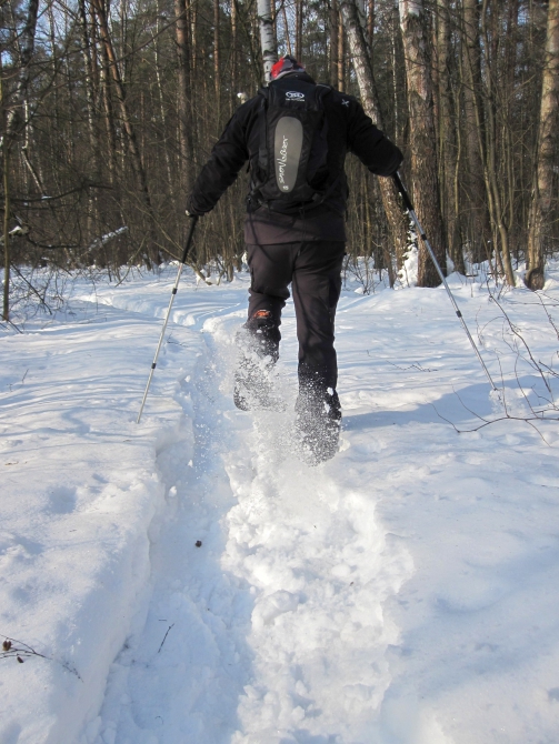 Ступня России - 2013. Итоги. (Снегоступинг, снегоступинг, снегоступы, tsl)