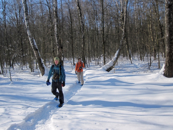 Ступня России - 2013. Итоги. (Снегоступинг, снегоступинг, снегоступы, tsl)