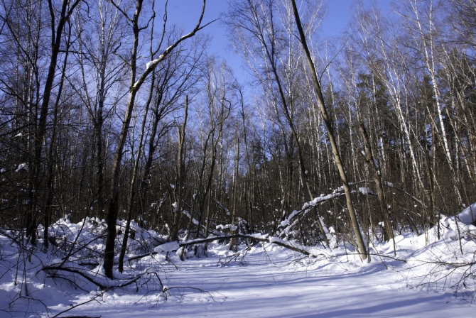 Ступня России - 2013. Итоги. (Снегоступинг, снегоступинг, снегоступы, tsl)