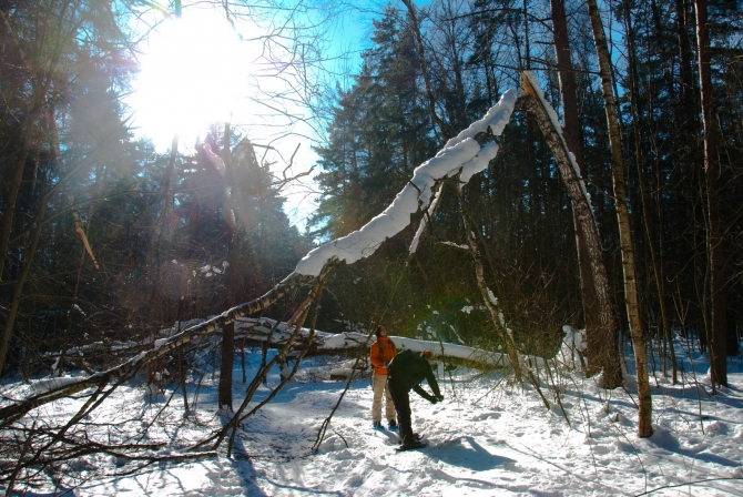 Ступня России - 2013. Итоги. (Снегоступинг, снегоступинг, снегоступы, tsl)