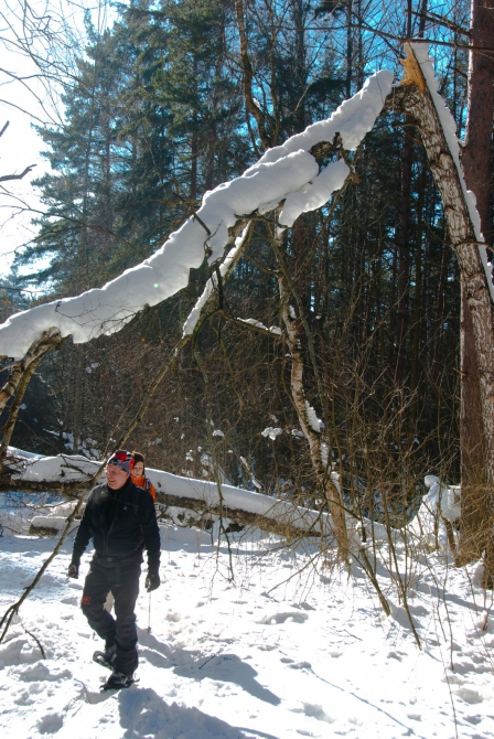 Ступня России - 2013. Итоги. (Снегоступинг, снегоступинг, снегоступы, tsl)