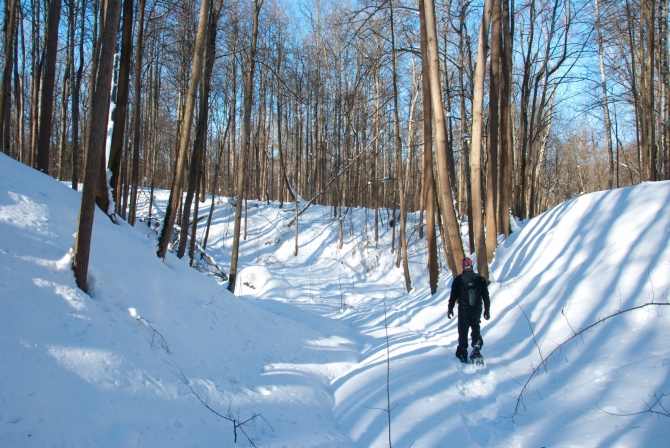 Ступня России - 2013. Итоги. (Снегоступинг, снегоступинг, снегоступы, tsl)