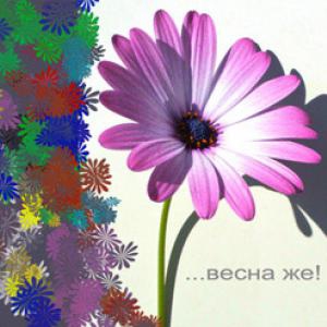 От мужчин Лыжного салона: ВСЕХ - ВСЕХ девушек - с ДНЕМ ВЕСНЫ! (Путешествия)