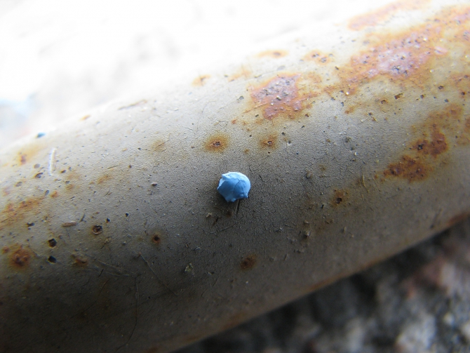 Открытый чемпионат МЭИ по скалолазанию памяти С. Гурякова-2013 (Альпинизм, марина клаб, сергей гуряков, альпклуб мэи, скалолазание)