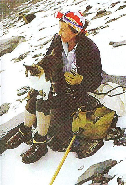 Швейцарский кот-альпинист (Альпинизм, томба)