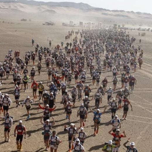 Fifty guys - Sultan Marathon des Sables 2013 (Мультигонки)