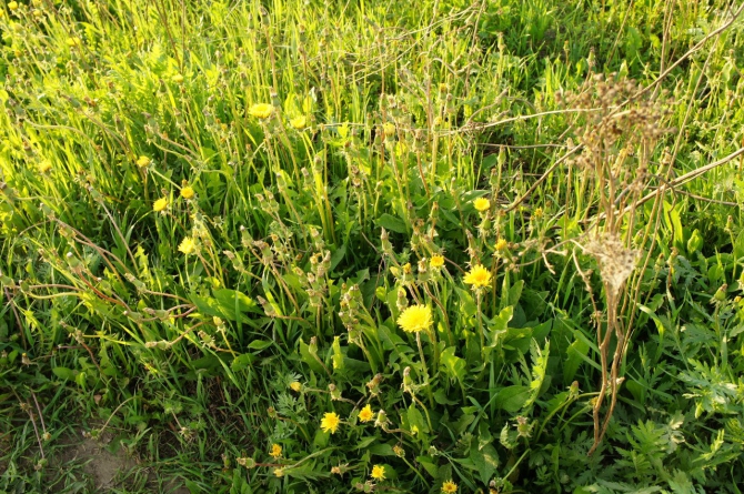 Korfest в Королеве! Уже 70 зарегистрированных! Где Королёв, что будет на AfterParty, где ночевать иногородним гражданам. (Альпинизм, соревнования, скалолазвание)