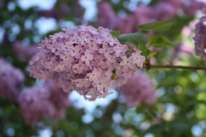 Королёвский Крым! Спортивно, обзорно-развлекательный! (Скалолазание, скалолазание)