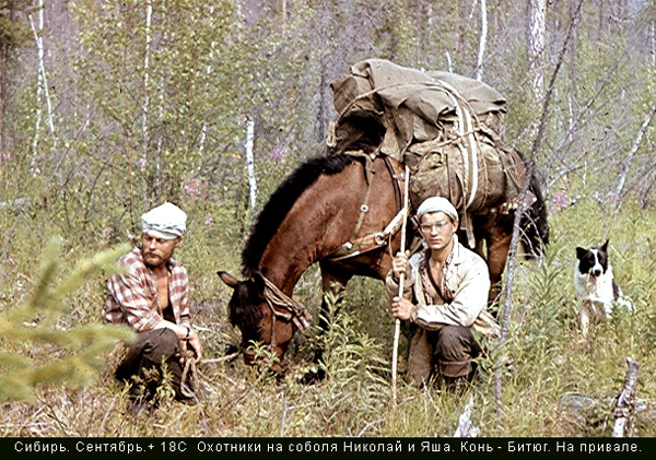 НА ПЛОТУ 009 (Путешествия, вагон, непа, нижняя тунгуска, медведи, художники, масло)