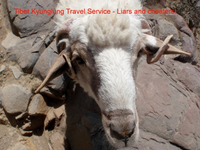 TIBET KYUNGLUNG TRAVEL SERVICE. Liars and cheaters! Остерегайтесь - мошенники! (Путешествия, tibet kyunglung travel service liars and cheaters!, лходзе, тибет, эверест, китай)