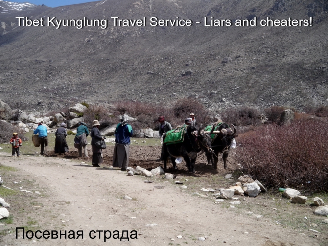 TIBET KYUNGLUNG TRAVEL SERVICE. Liars and cheaters! Остерегайтесь - мошенники! (Путешествия, tibet kyunglung travel service liars and cheaters!, лходзе, тибет, эверест, китай)
