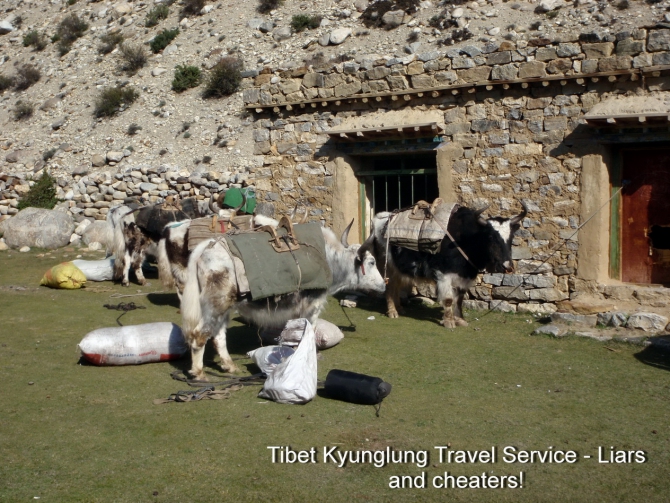 TIBET KYUNGLUNG TRAVEL SERVICE. Liars and cheaters! Остерегайтесь - мошенники! (Путешествия, tibet kyunglung travel service liars and cheaters!, лходзе, тибет, эверест, китай)