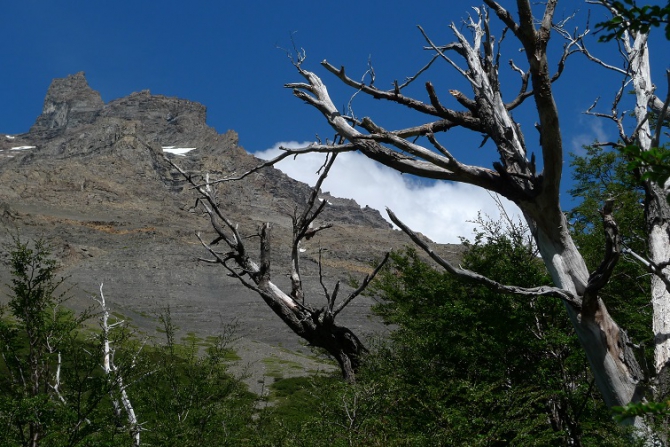 АПять подкралась незаметно (Альпинизм, альпинизм, патагония, торрес дэль пайне. первопроход, cerro escudo, михаил дэви, сергей дашкевич, анатолий ярунов, аркадий серегин)