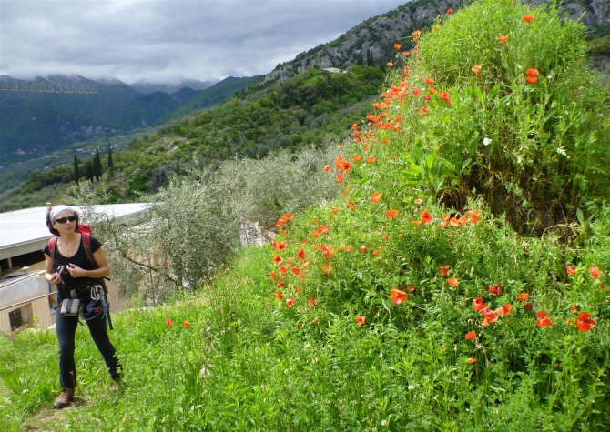 Из Арко с подарком... (Скалолазание, трад)