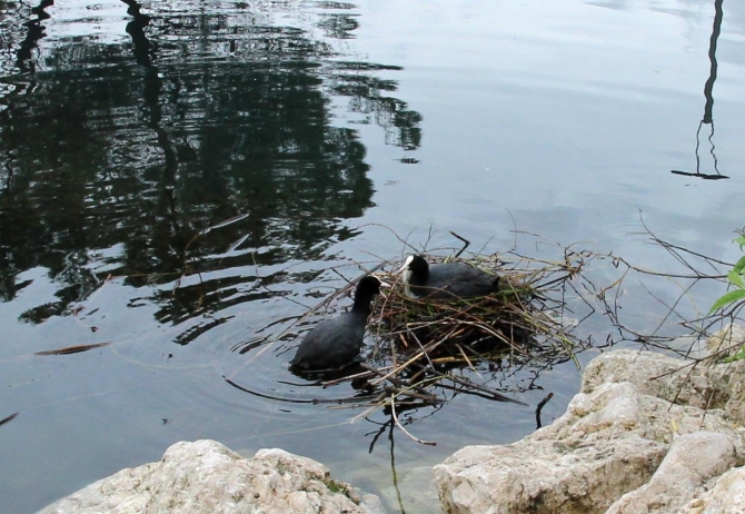 Из Арко с подарком... (Скалолазание, трад)