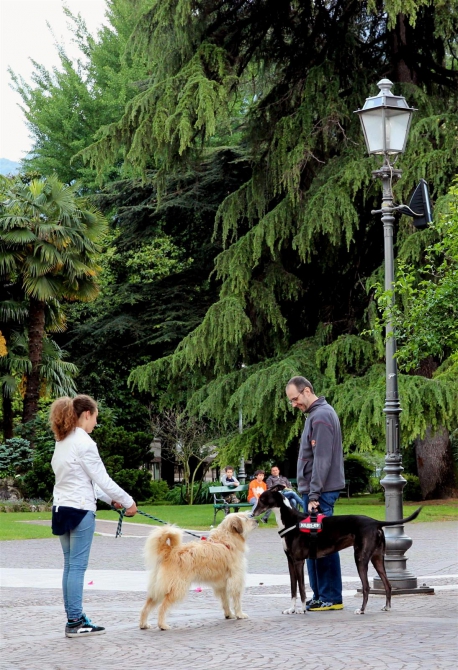 Из Арко с подарком... (Скалолазание, трад)