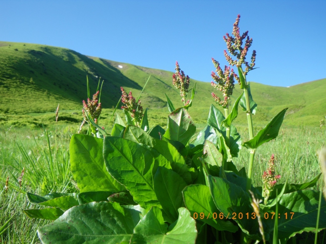 Ода женской косметичке