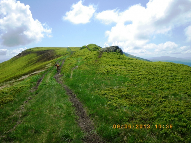 Ода женской косметичке