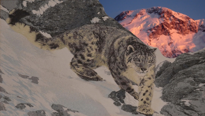 проект "Снежный барс" часть 2 (Альпинизм, пик е. корженевской, покоритель высочайших гор ссср, пик хан-тенгри, пик победы, турклуб маи, пик коммунизма, пик ленина)