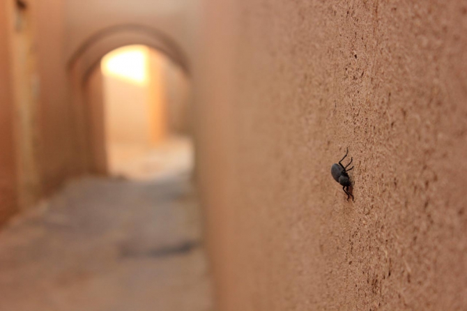 Восхождение на Демавенд, Иран, май 2013 (Альпинизм, персеполис, шираз, язд, extreme guide, экстрим гид, damavand, тегеран, исфахан)