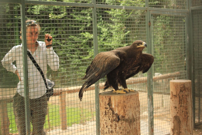 Восхождение на Демавенд, Иран, май 2013 (Альпинизм, персеполис, шираз, язд, extreme guide, экстрим гид, damavand, тегеран, исфахан)