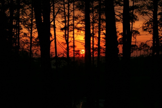 Nikita Adventure Race 2013. Новости с полей. (Мультигонки, никита башмаков, липецк, ozon, озон, ушба)