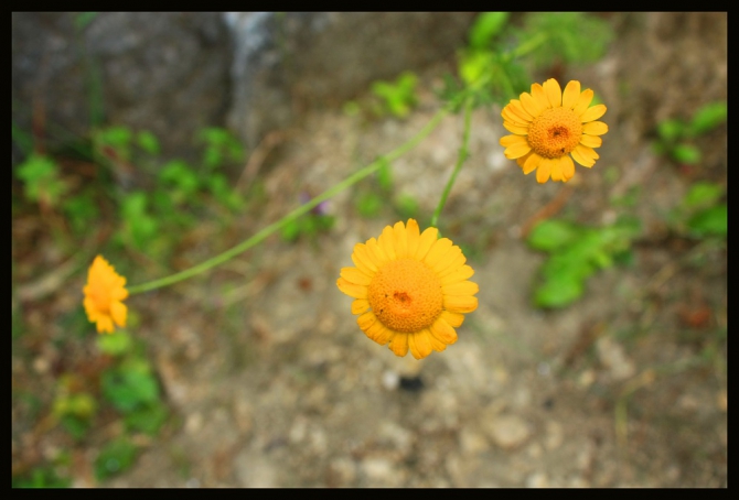 Ещё одни близкие к Москве скалы-Дюкинские карьеры! Хорошо учиться лазить с нижней и дюльферять! Только каски must have! (Скалолазание, королёв, владимир, скалолазание)