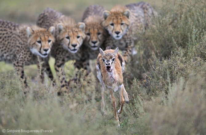 Центральная Школа Инструкторов альпинизма. Безенги 2013 (учиться учиться учиться, мнение, выводы, отзывы, нефедов, цши)