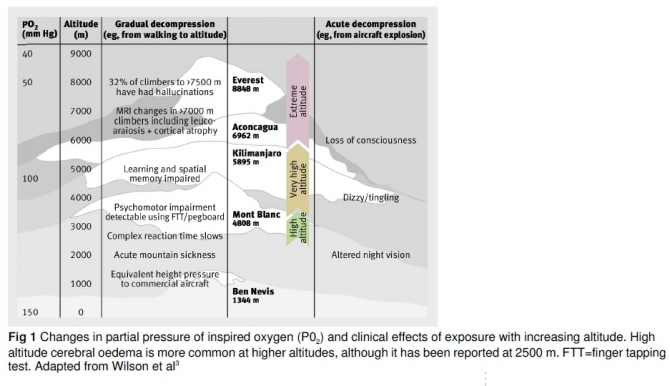 Острая высотная болезнь: обзор по "горняшке" (Альпинизм, высотный отёк лёгких, высотный отёк мозга, острая горная болезнь, акклиматизация, медицина)