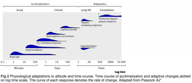 Острая высотная болезнь: обзор по "горняшке" (Альпинизм, высотный отёк лёгких, высотный отёк мозга, острая горная болезнь, акклиматизация, медицина)