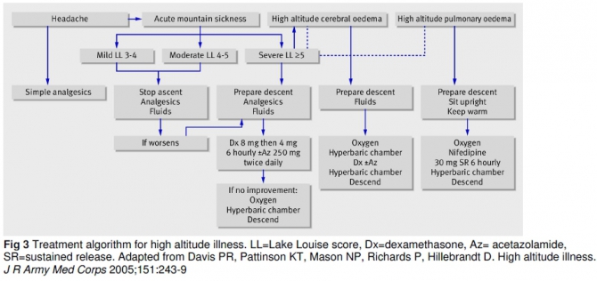 Острая высотная болезнь: обзор по "горняшке" (Альпинизм, высотный отёк лёгких, высотный отёк мозга, острая горная болезнь, акклиматизация, медицина)