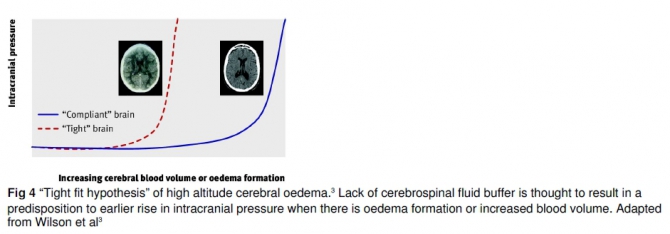 Острая высотная болезнь: обзор по "горняшке" (Альпинизм, высотный отёк лёгких, высотный отёк мозга, острая горная болезнь, акклиматизация, медицина)