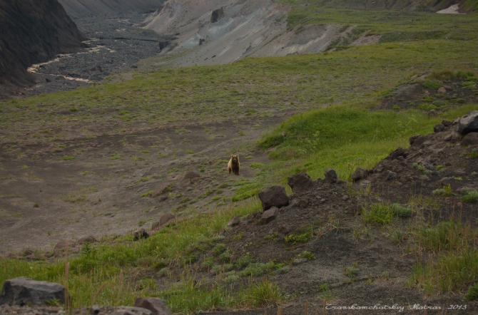 Транскамчатский матрас – 2013. Часть I – Горная (Горный туризм, поход, камчатка)