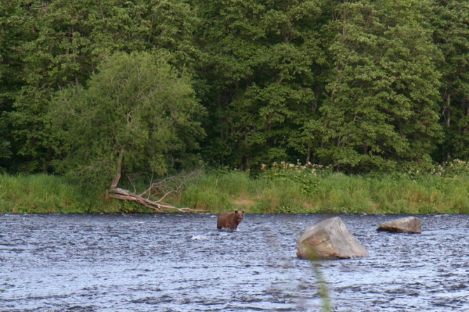 Камчатка 2007 (Горный туризм)