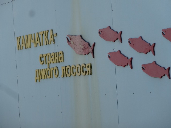 Сказ про поход в землю далекую, да на вулкан высокий. (Альпинизм, камчатка, ключевская сопка)