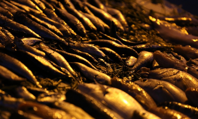 ЗаМарочка с штативом и дочкой..