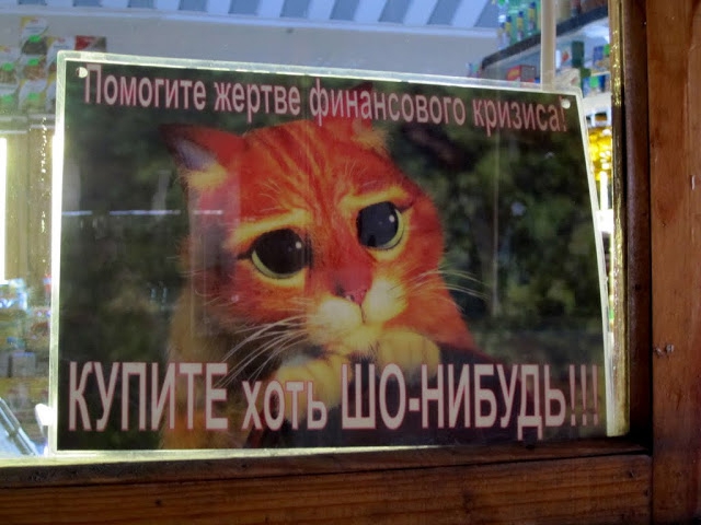 Один год из жизни СКА "Зеленоград" (Альпинизм, ска зеленоград, кавказ, фаны, арко, шамони, ляйляк, хан-тенгри, победа, крым, мак-кинли, индийские гималаи, камчатка, байкал, некрутые но классные)