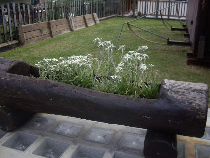 Новый Маттерхорн (Альпинизм, альпы, восхождение)