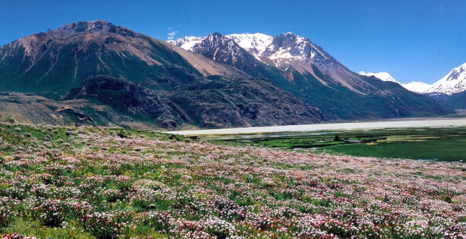 Тибет - это не только трек вокруг Кайлаша... (Путешествия, гималаи, треккинг)