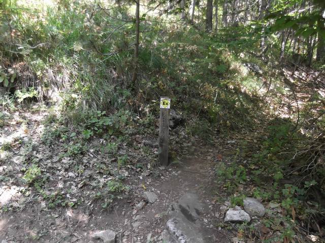 Восхождение на Олимп (Альпинизм)